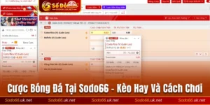 Cược bóng đá tại Sodo66