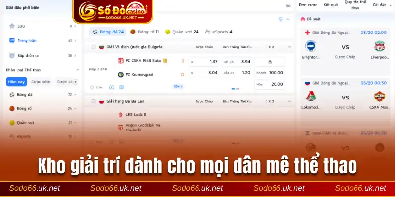 Kho giải trí dành cho mọi dân mê thể thao