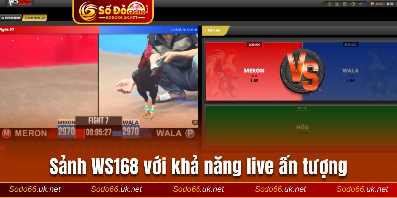 Sảnh WS168 với khả năng live ấn tượng